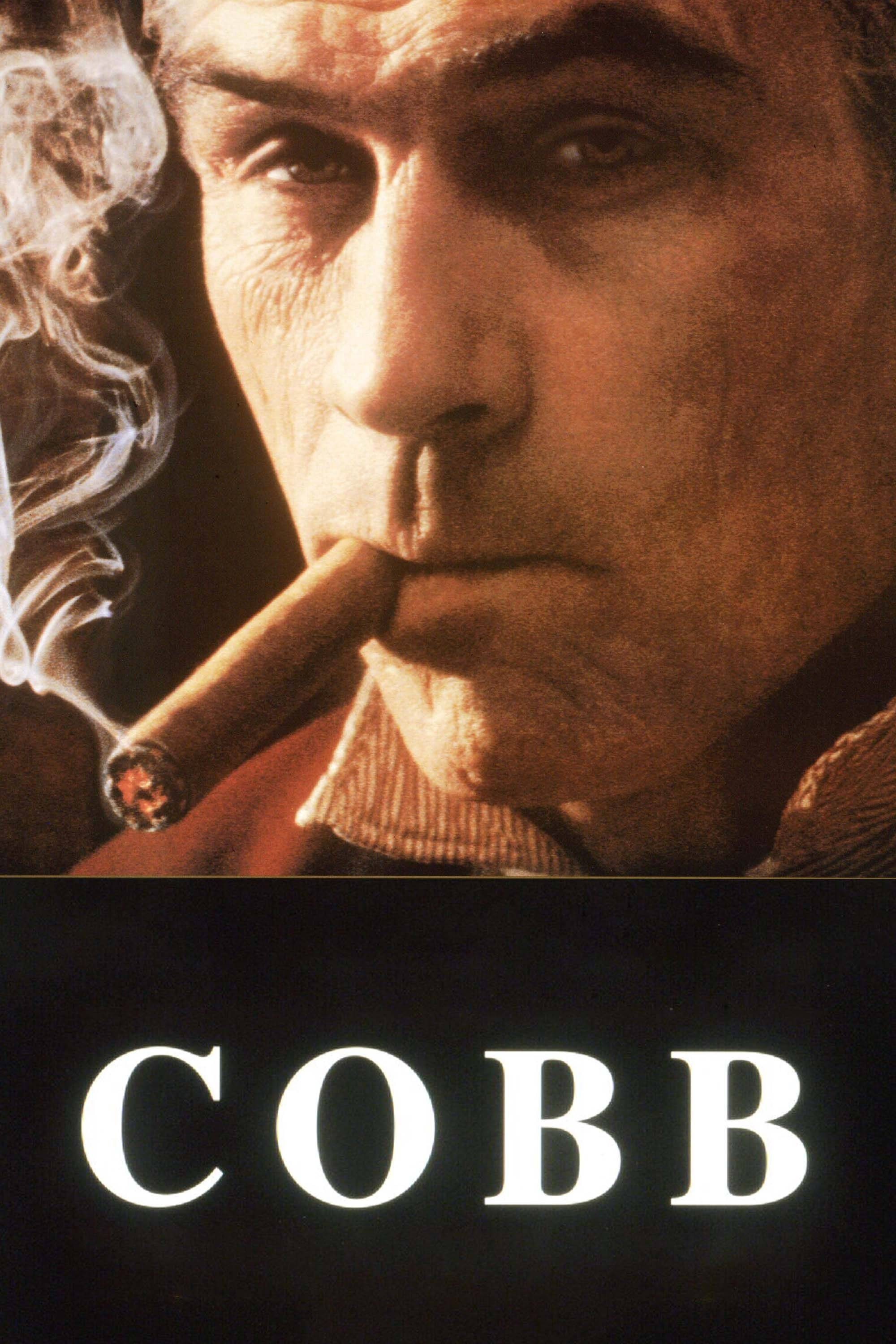 Постер Cobb